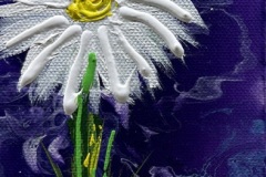 White-Wild-Flower