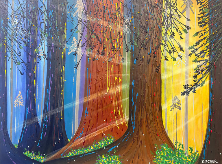 A Walk in the Woods